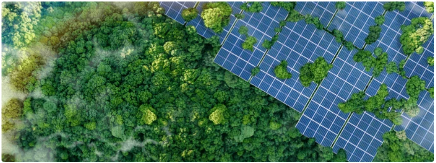 panneaux solaires photovoltaïques et toiture végétalisée